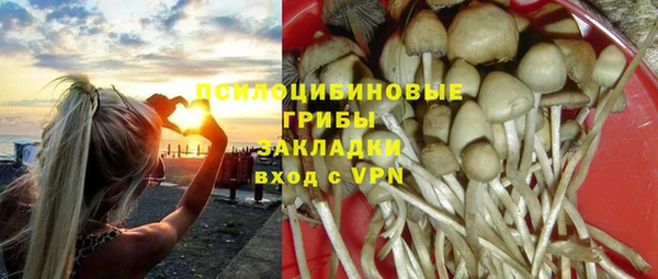 альфа пвп Вяземский