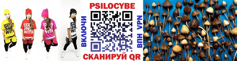 Галлюциногенные грибы GOLDEN TEACHER  Купить закладки  Балахна 