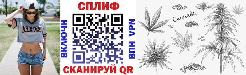 Марихуана THC 21% Купить Балахна